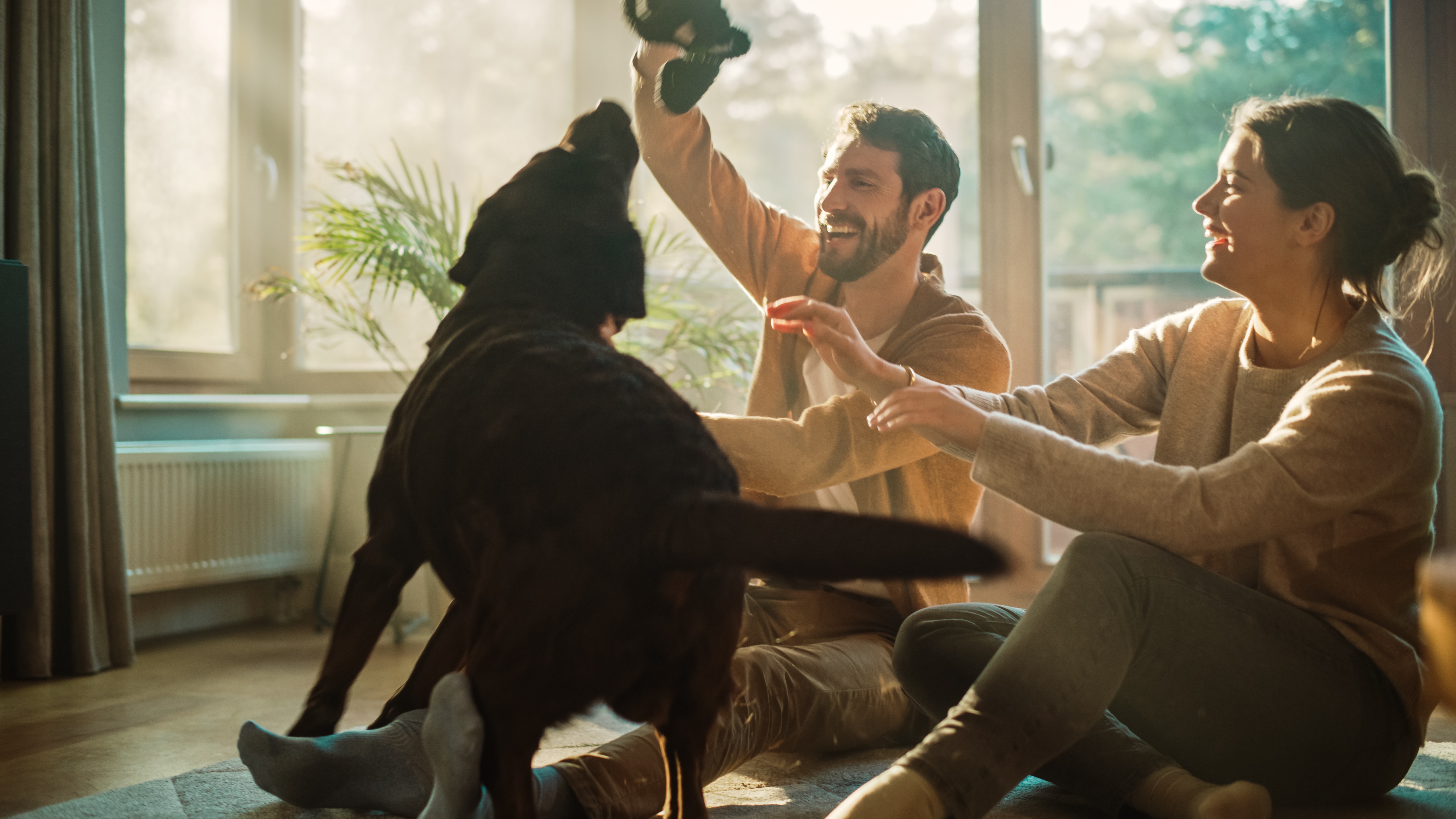A happy couple playing with their dog at home | Source: Shutterstock