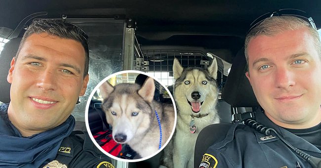 Two police officers sitting in the car with a Husky named Zeke. | Source: facebook.com/SGFPolice