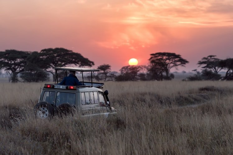 A woman in a safari truck watching nature. | Photo: Unsplash.