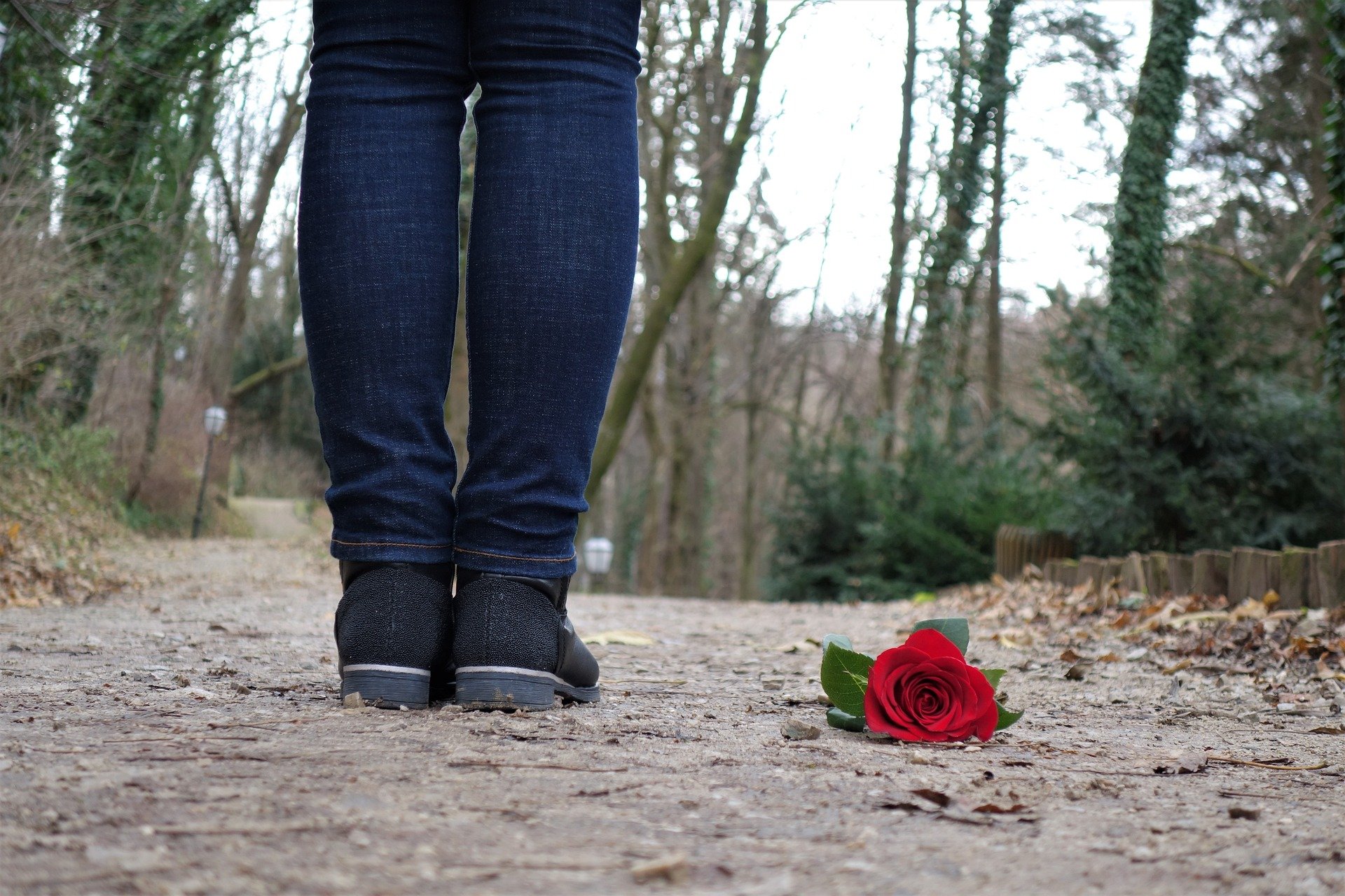 A rose laying on the ground next to a young girl. | Source: Pixabay.