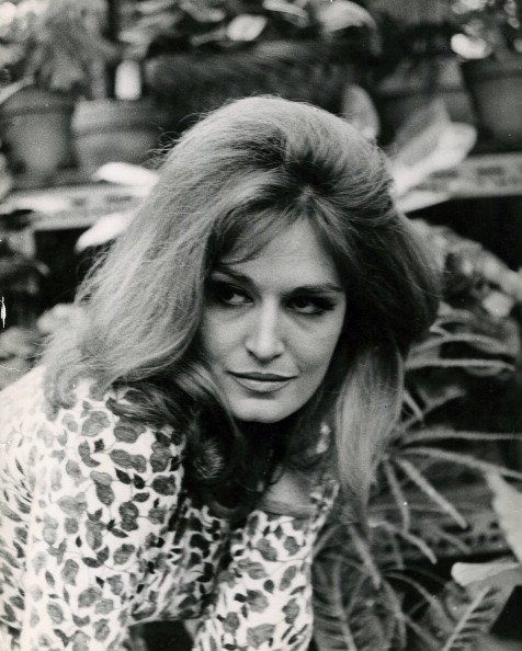 Portrait de la chanteuse et actrice française d'origine italienne Dalida (Iolanda Cristina Gigliotti). Années 60. | Photo : Getty Images