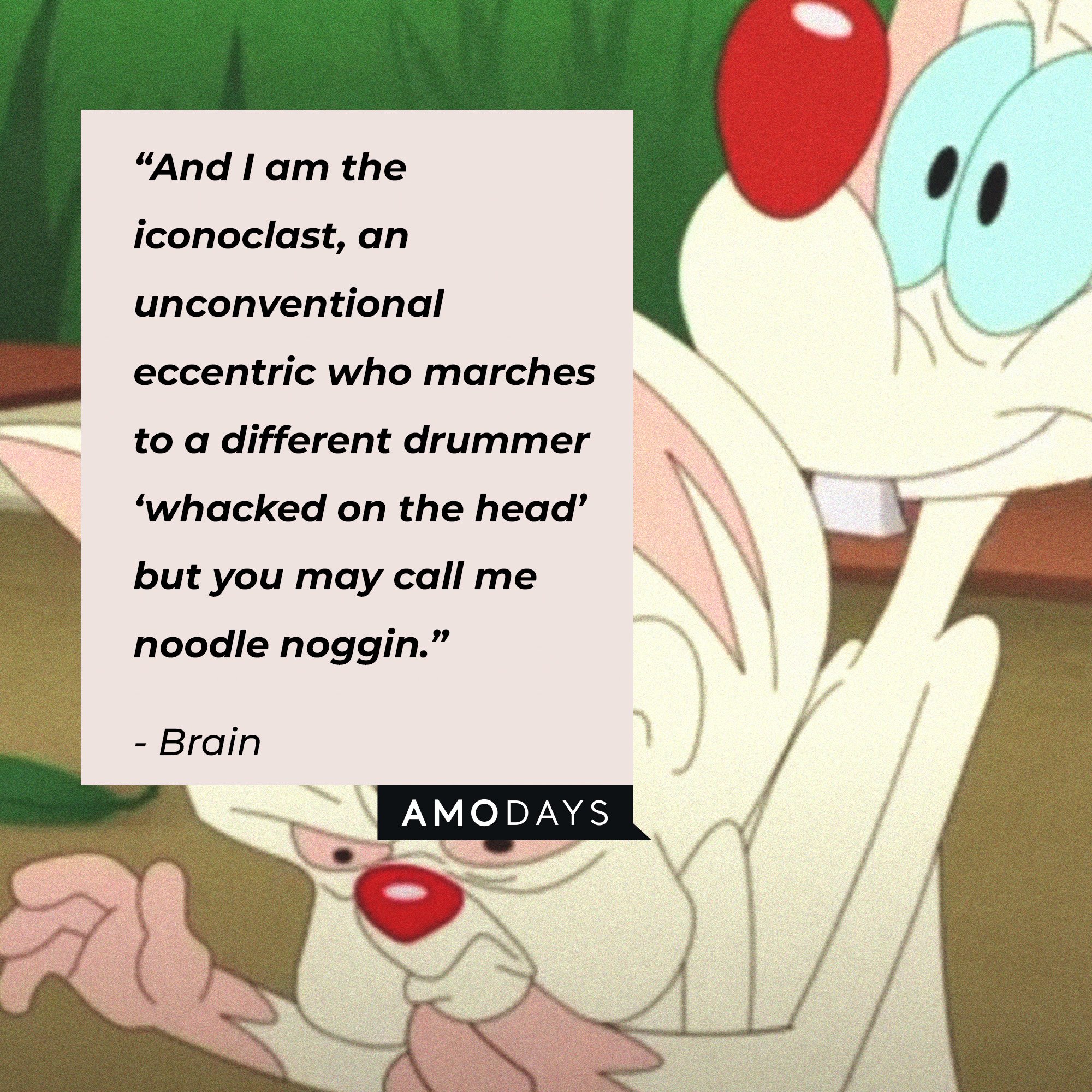 Brain's quote: “And I am the iconoclast, an unconventional eccentric who marches to a different drummer ‘whacked on the head’ but you may call me noodle noggin.” | Image: AmoDays