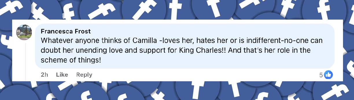 A netizen's reaction to Queen Camilla's choice of crown, posted on December 3, 2024 | Source: facebook.com/GBNewsOnline