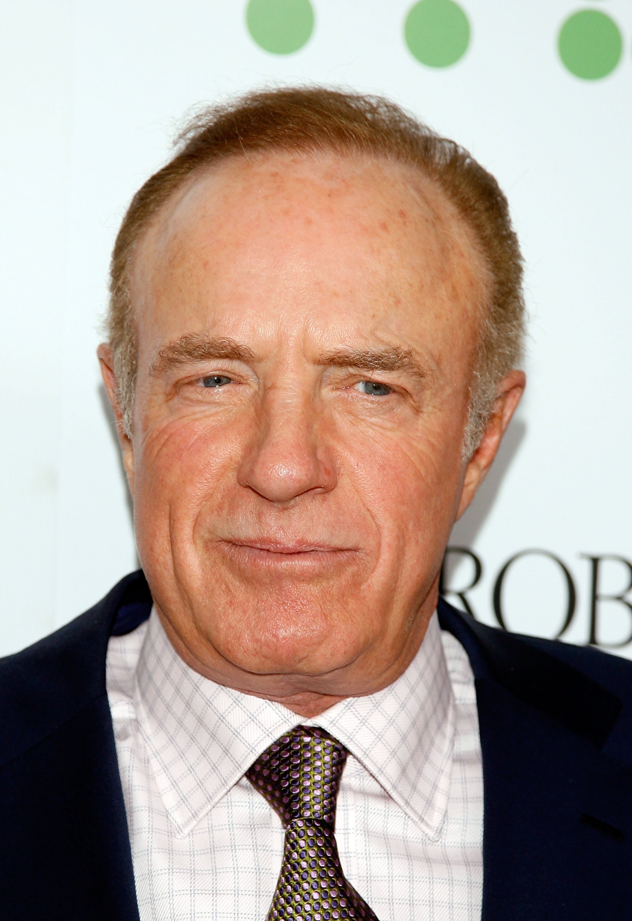 Actor James Caan arriving to Hollywood Life Magazine's 9th annual Young Hollywood Awards at the Music Box at the Fonda April 22, 2007 in Los Angeles, California. / Source: Getty Images