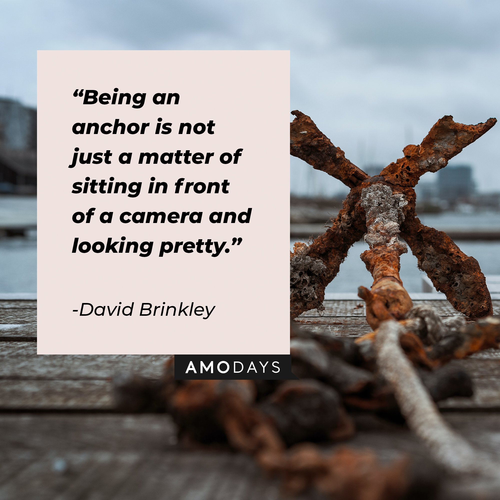 David Brinkley's quote: "Being an anchor is not just a matter of sitting in front of a camera and looking pretty." | Image: AmoDays