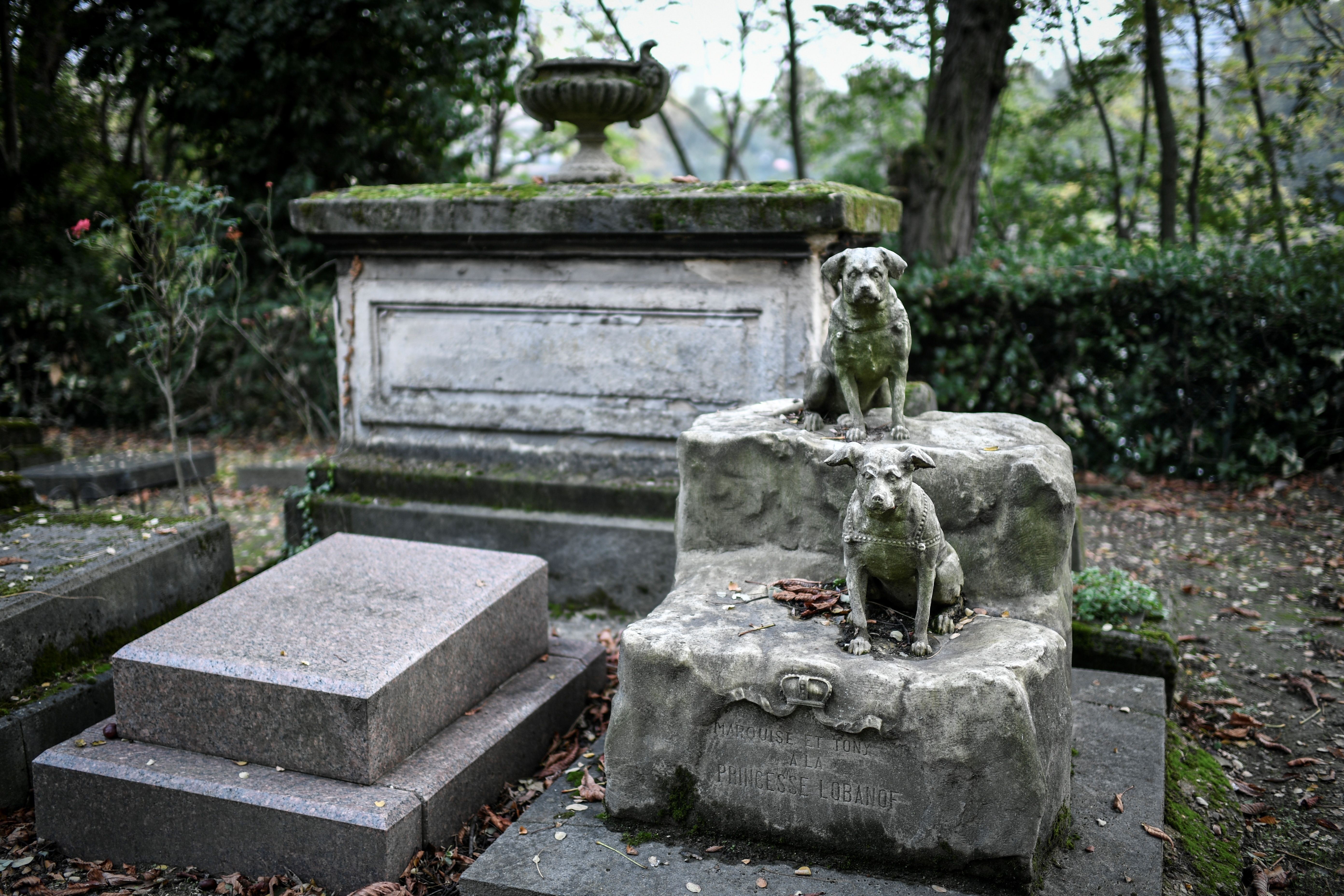 A picture of graves for dogs in a pet cemetery in Asnieres-sur-Seine, France, taken on October 22, 2019 | Source: Getty Images