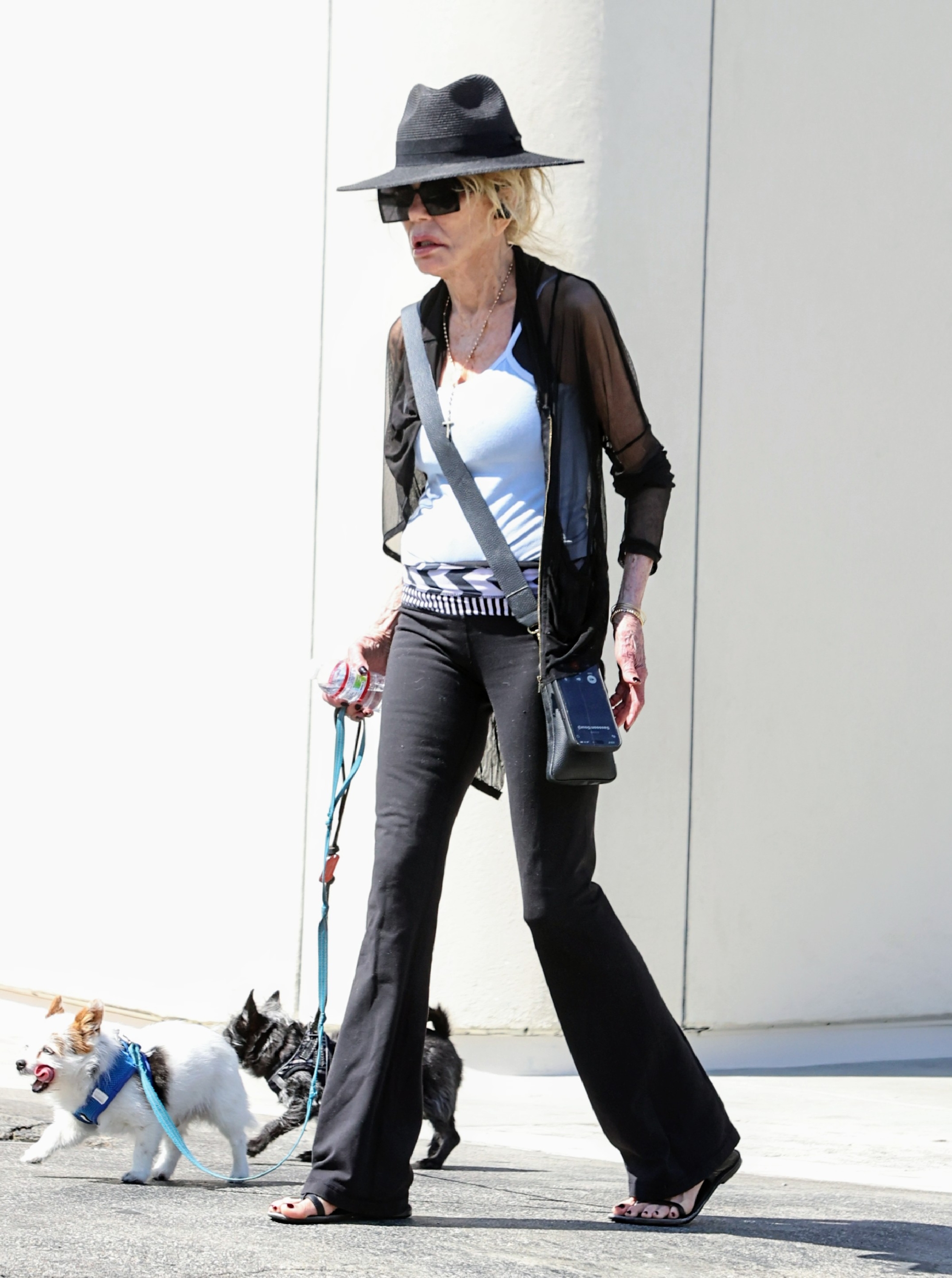 Dyan Cannon is seen out and about on July 13, 2025 in West Hollywood, California. | Source: Getty Images