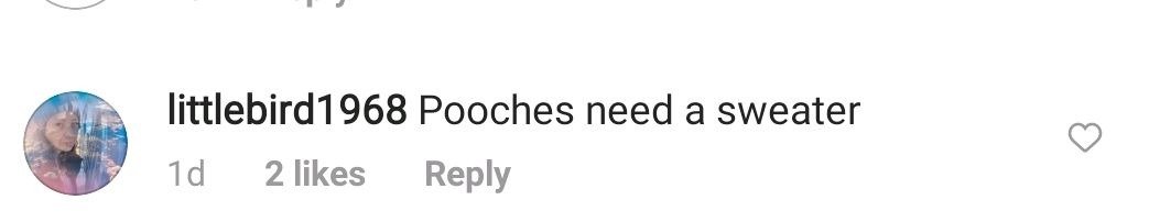 A fan's comment on Demi Moore's post on her instagram page | Photo: instagram.com/demimoore/