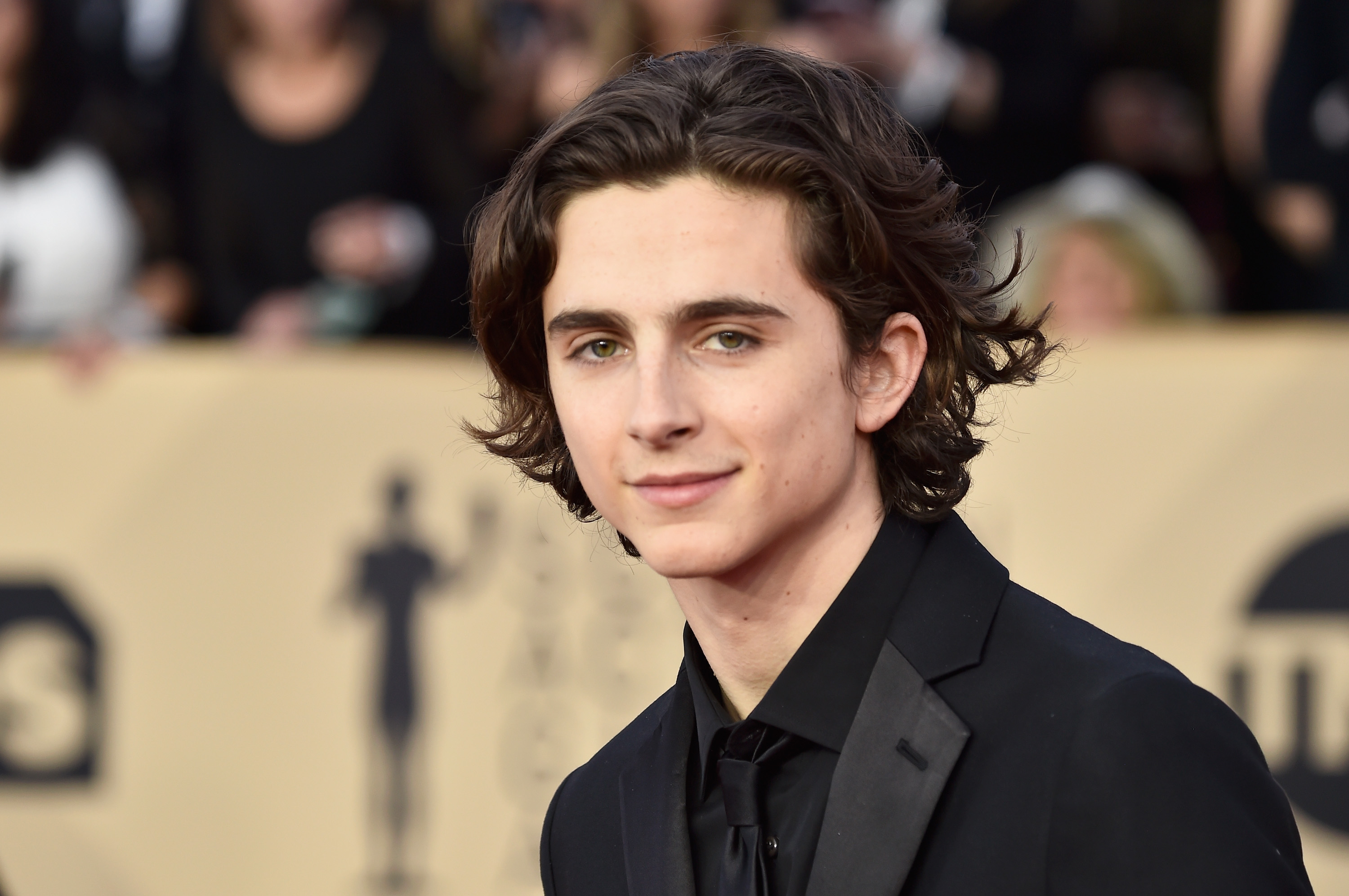 Timothy Chalamet at the 24th Annual Screen Actors Guild Awards at The Shrine Auditorium on January 21, 2018 in Los Angeles, California | Source: Getty Images