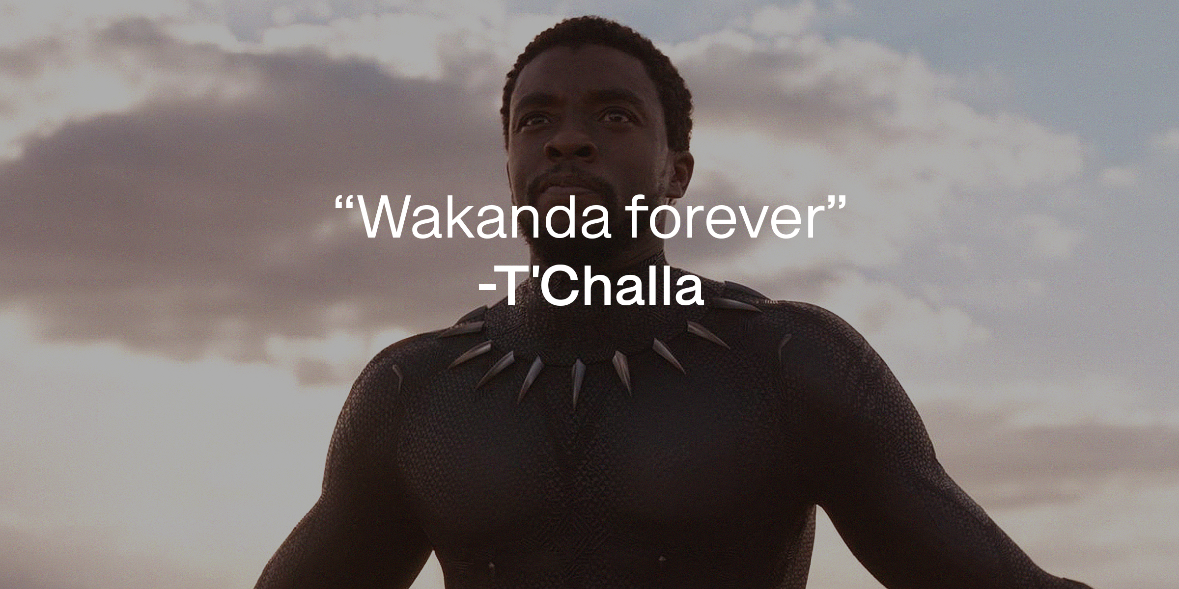 A photo of T'Challa with T'Challa's quote: "Wakanda forever" | Source: facebook.com/BlackPantherMovie