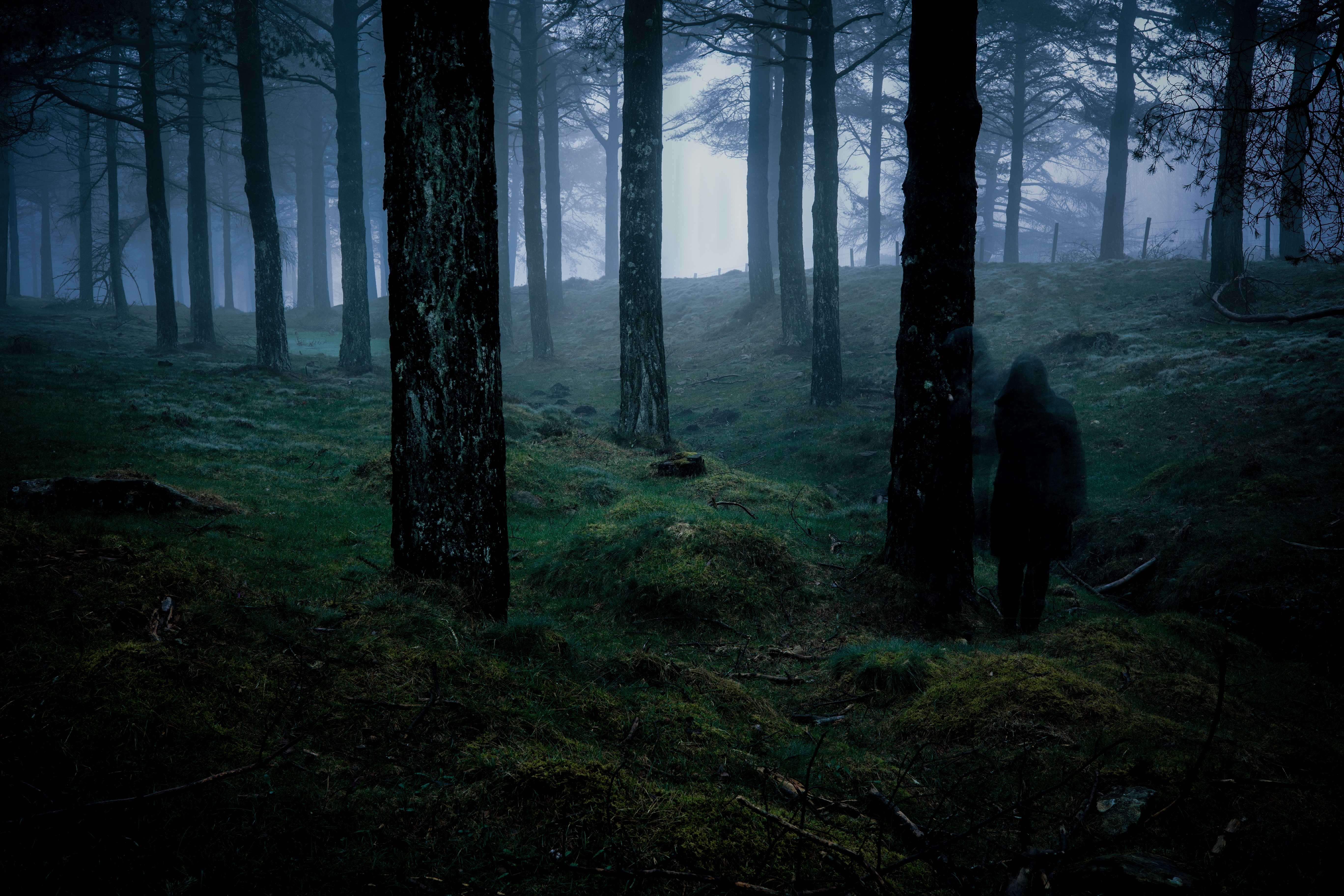 Silhouette of person dressed in black with coat cloak and big hood in a dark and creepy forest. | Source: Shutterstock