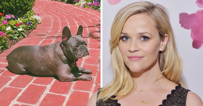 Getty Images  Instagram/reesewitherspoon