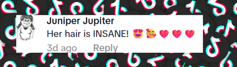 A fan comment dated June 18, 2025 | Source: TikTok/PinkNews