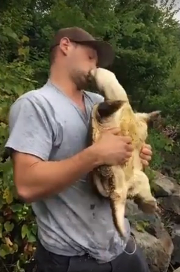 Source: Youtube/H-H Viral