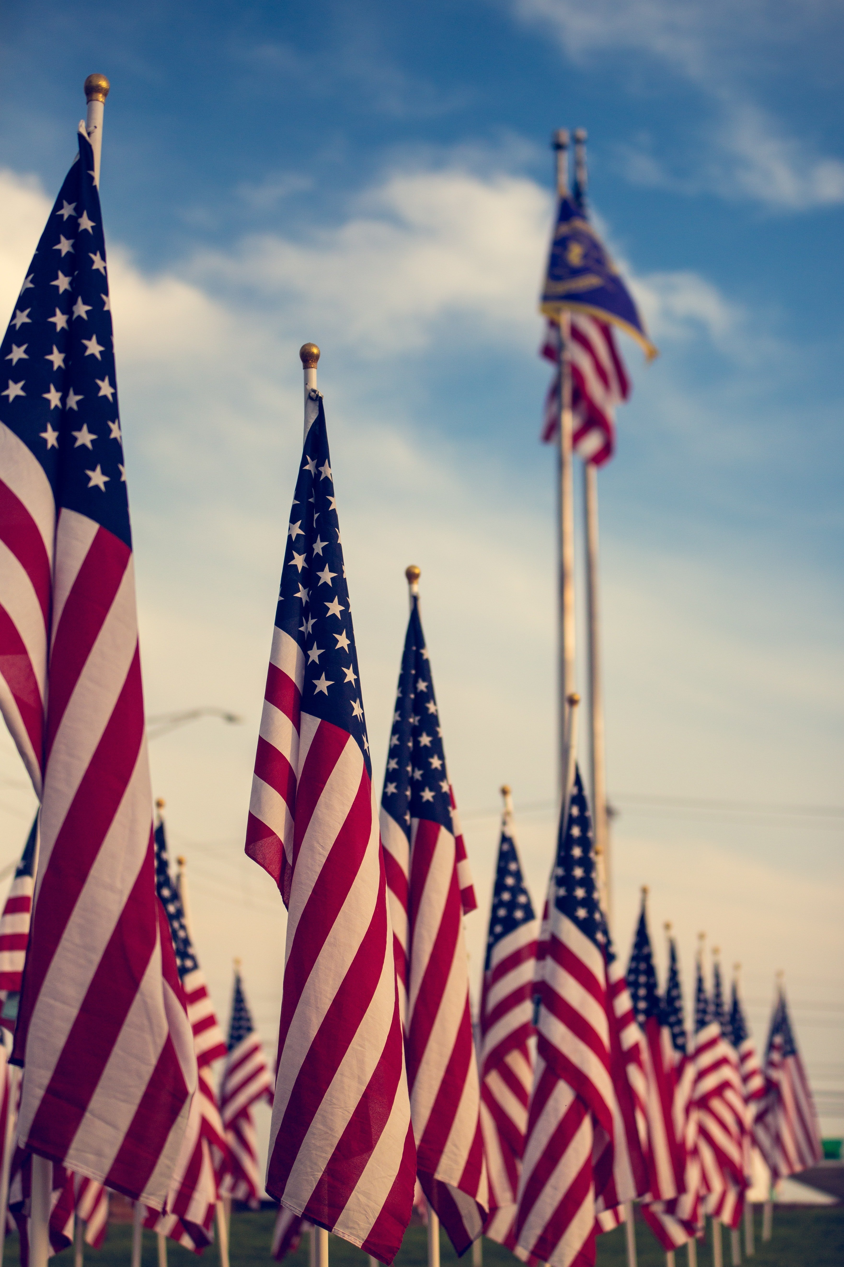 American flags lined-up | Photo: Pexels