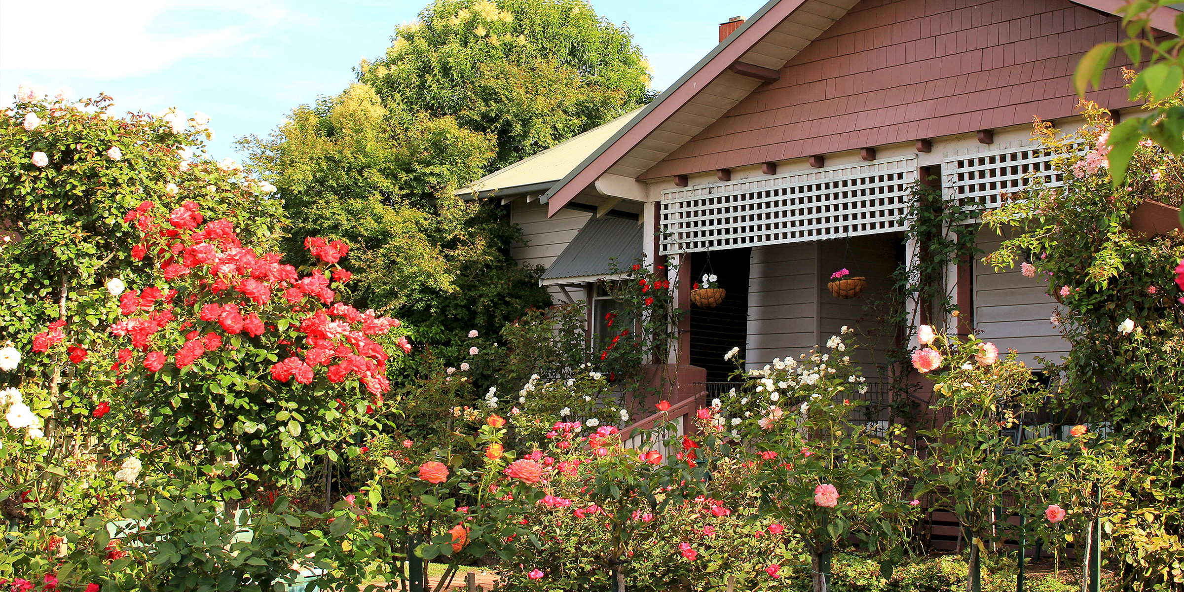 A beautiful garden outside a suburban home | Source: Shutterstock