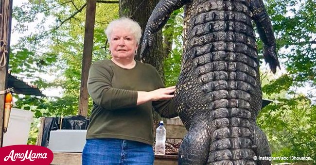 Great-grandmother shoots 12-ft alligator suspected of eating her miniature horse