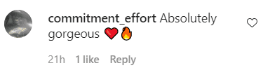 Fans' comment on Nicole Murphy's Instagram post from August 5, 2021 | Photo: Instagram/nikimurphy