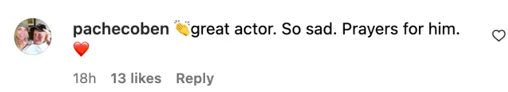 Fan comment about Bruce Willis, dated November 26, 2023 | Source: Instagram/pagesix