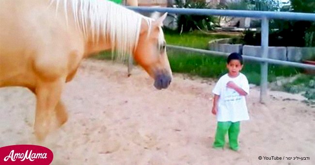 Horse walks up to a boy with rare disorder as mom films their amazing interaction