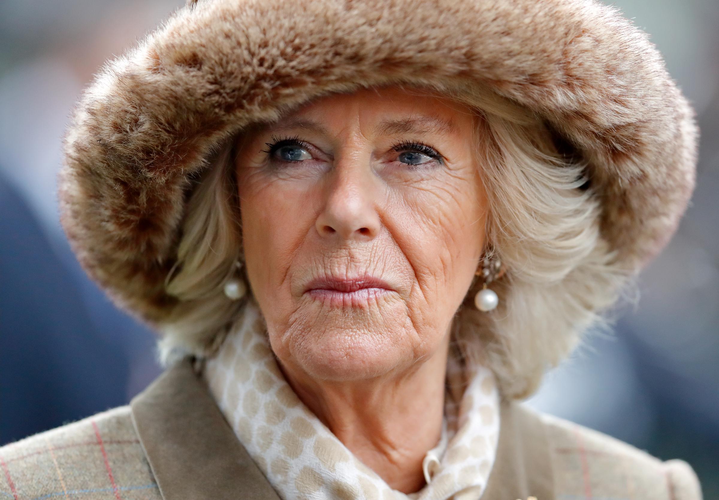 Camilla, Duchess of Cornwall attends The Prince's Countryside Fund Raceday in Ascot, England, on November 23, 2018 | Source: Getty Images