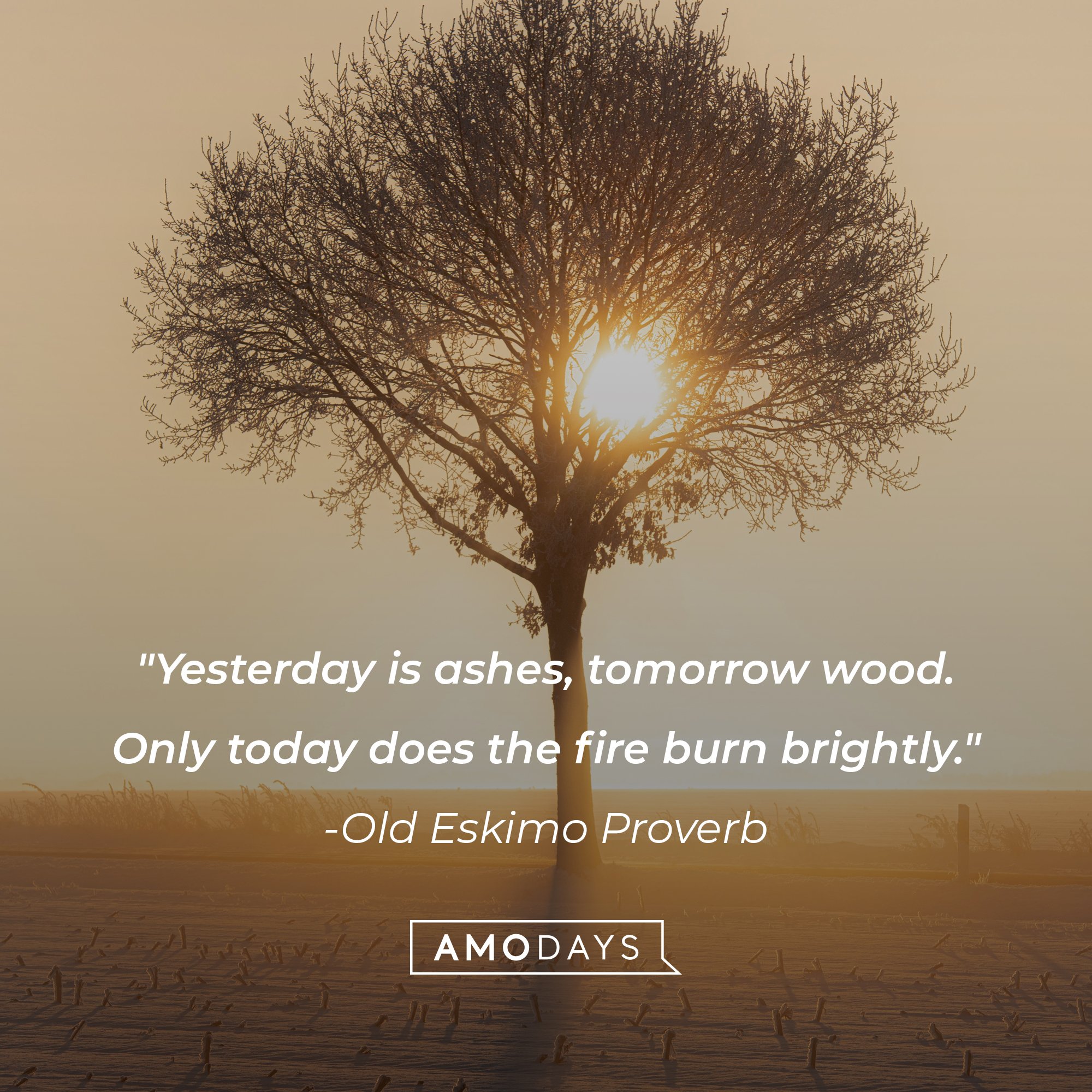  An old Eskimo Proverb quote: "Yesterday is ashes, tomorrow wood. Only today does the fire burn brightly." | Image: AmoDays