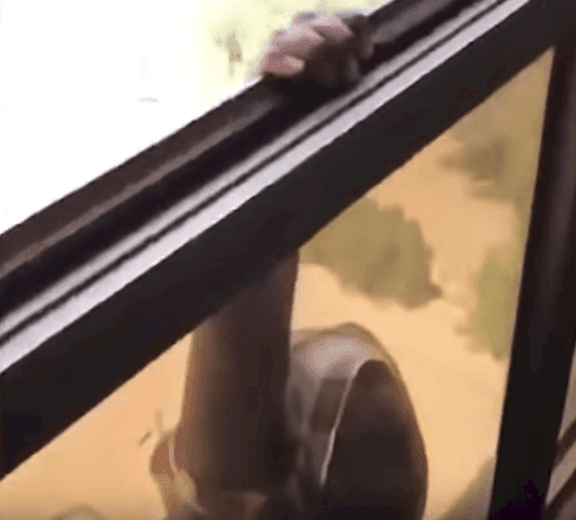 La femme de ménage suspendue à la fenêtre | Source : Youtube/Sail Online