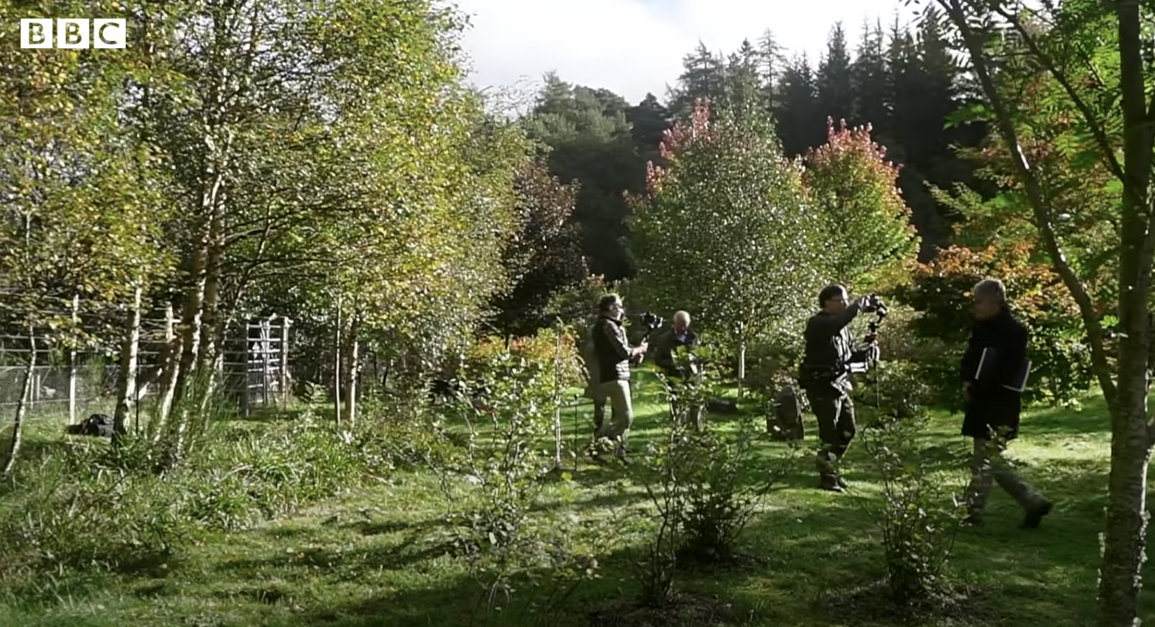 The garden in Balmoral Estate, dated 2022 | Source: YouTube/BBC News