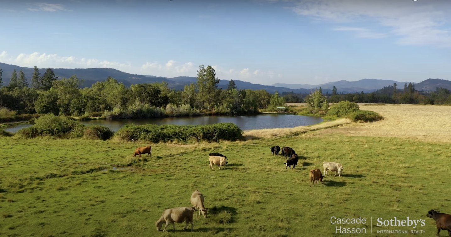 Bass lake on the Duffy ranch, 2022 in Oregon | Source: YouTube.com/cascadesothebys