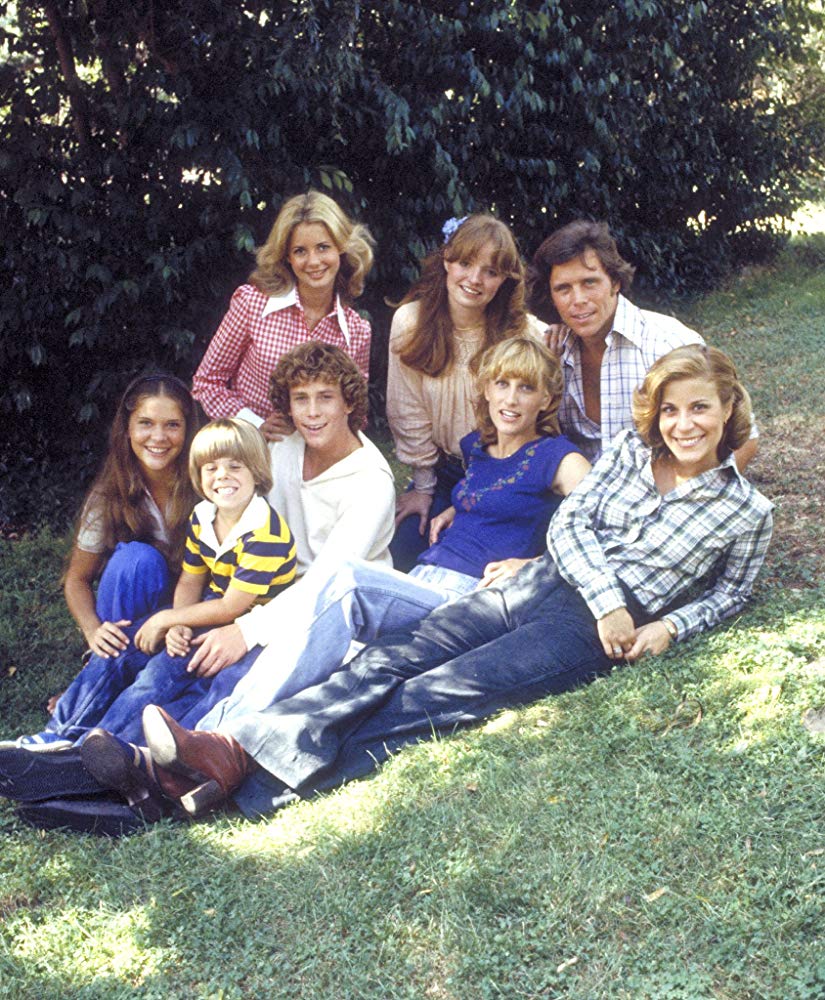 Willie Aames, Grant Goodeve, Dianne Kay, Connie Needham, Lani O'Grady, Adam Rich, Susan Richardson, and Laurie Walters in "Eight Is Enough" in 1977. | Source: IMDb.
