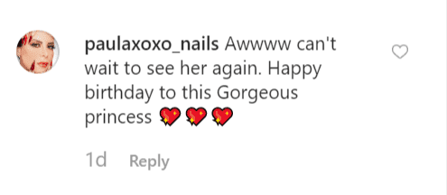 Another fan comment left on Coco Austin's post | Instagram: @coco