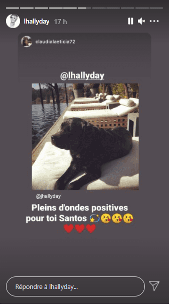 Photo du chien de Johnny. | Photo : Story Instagram / lhallyday