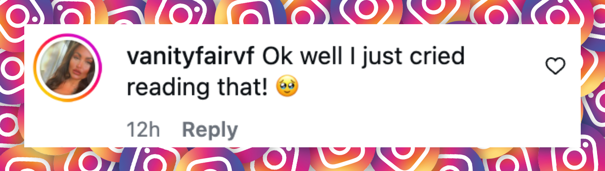 A netizen's comment on a post dated January 25, 2026 | Source: Instagram/vanderjames