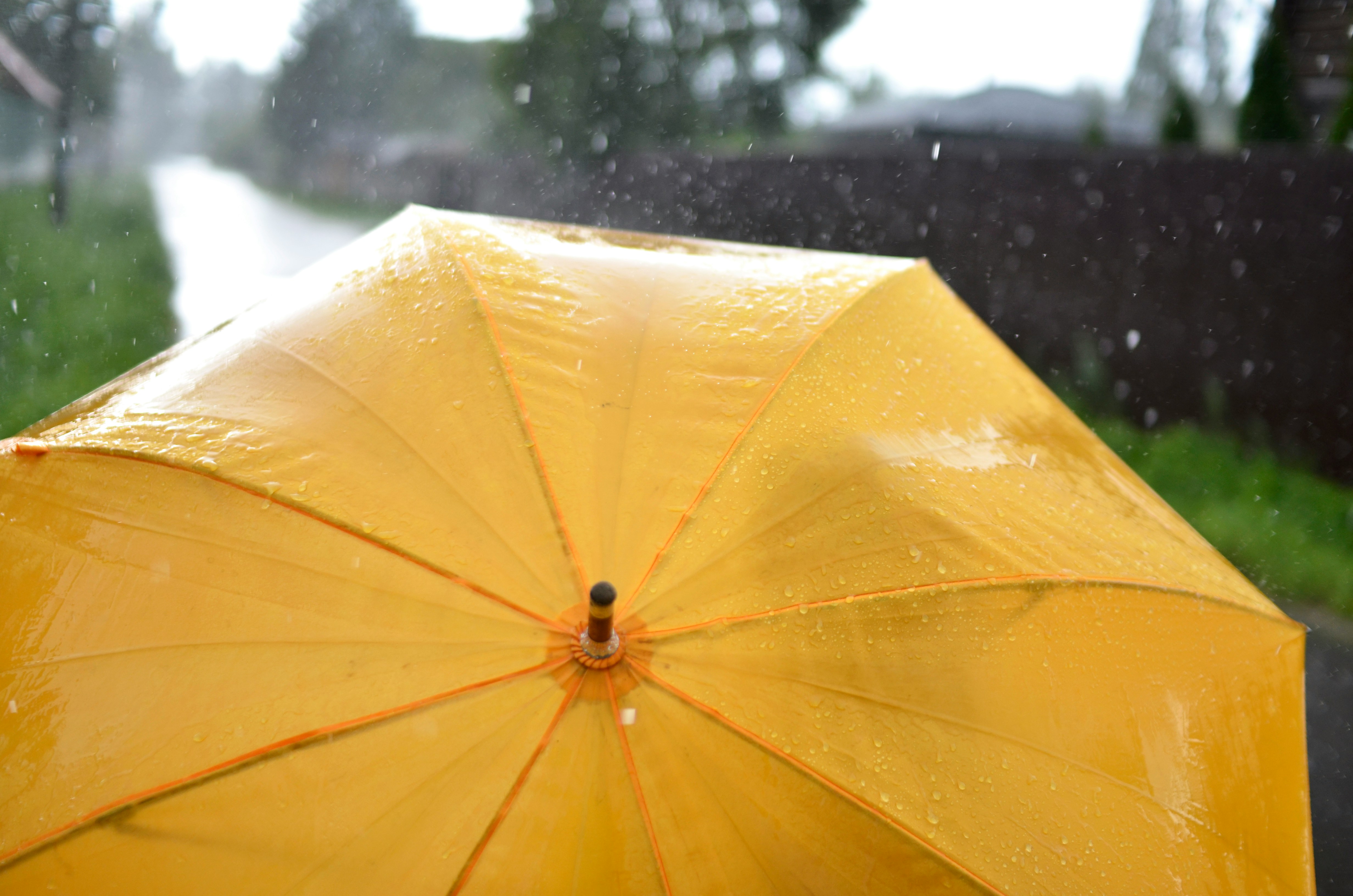 An umbrella in the rain | Source: Unsplash