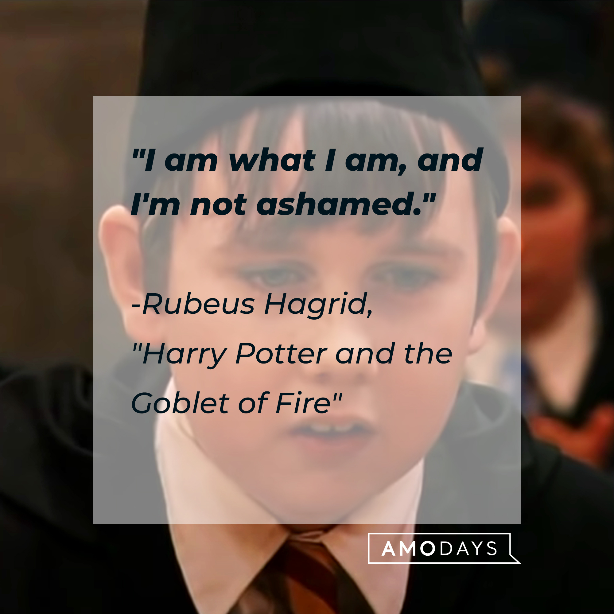 Rubeus Hagrid, with his Albus Dumbledore's quote: "I am what I am, and I'm not ashamed." | Source: Facebook.com/harrypotter