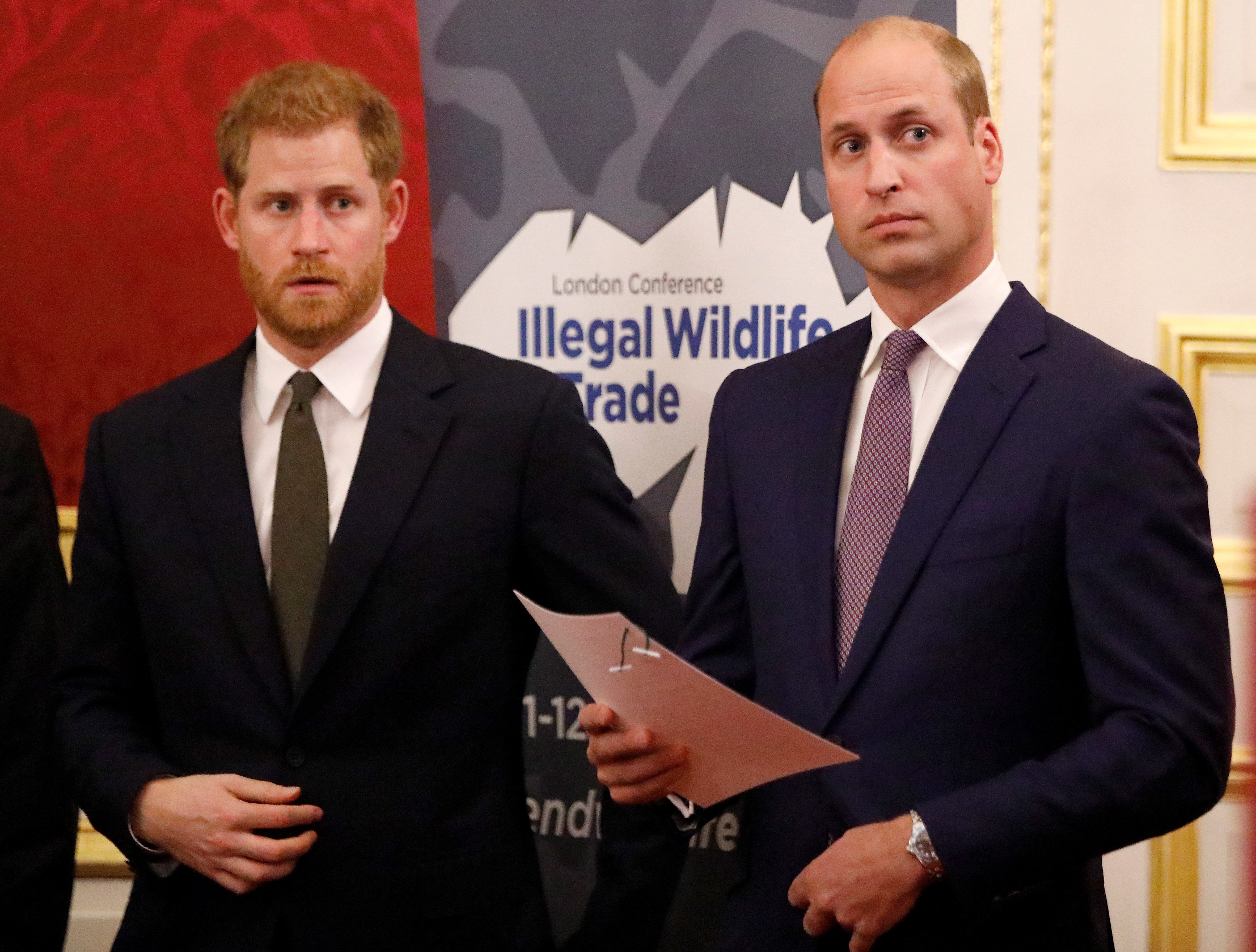 Prince William, Duke of Cambridge (R) and Prince Harry, Duke of Sussex, host a reception to officially open the 2018 Illegal Wildlife Trade Conference at St James' Palace on October 10, 2018 in London, England. | Source: Getty Images