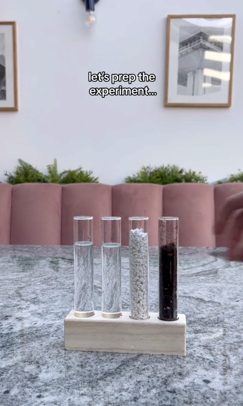 A test tube being filled with moist soil in a clip uploaded on October 5, 2024 | Source: TikTok/thelittlelifelately