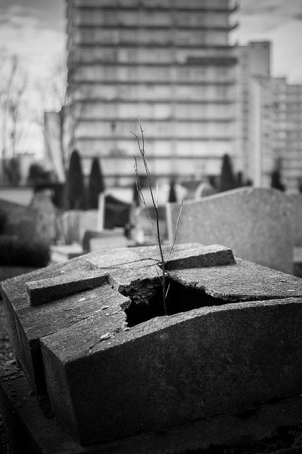 Un cimetière. l Source: Flickr