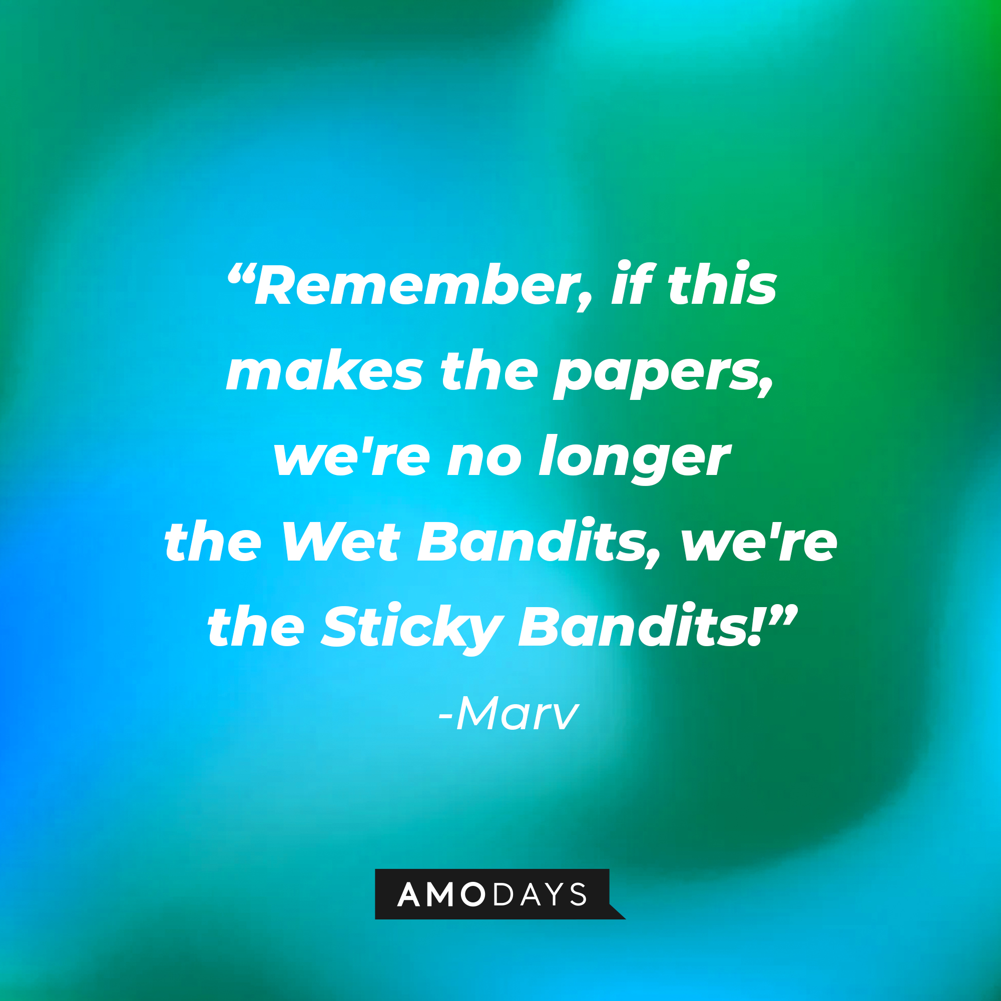 Marv's quote: "Remember, if this makes the papers, we're no longer the Wet Bandits, we're the Sticky Bandits!" | Source: AmoDays
