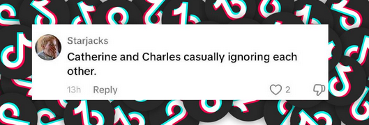 A fan reacts after King Charles III fails to greet Princess of Wales, Catherine, from a post dated March 10, 2025 | Source: Tiktok/@dailymailroyals