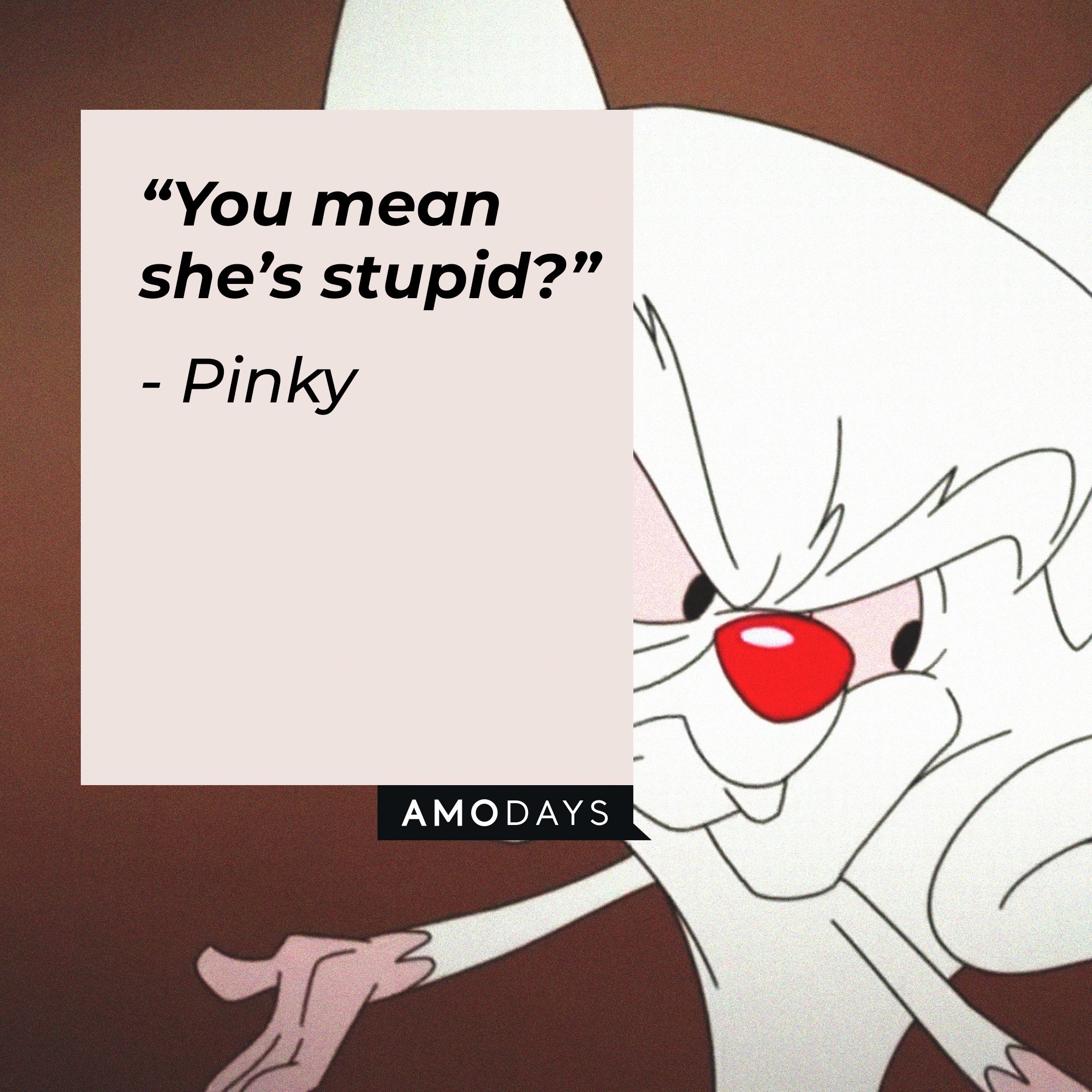 Pinky's quote: “You mean she’s stupid?” | Image: AmoDays