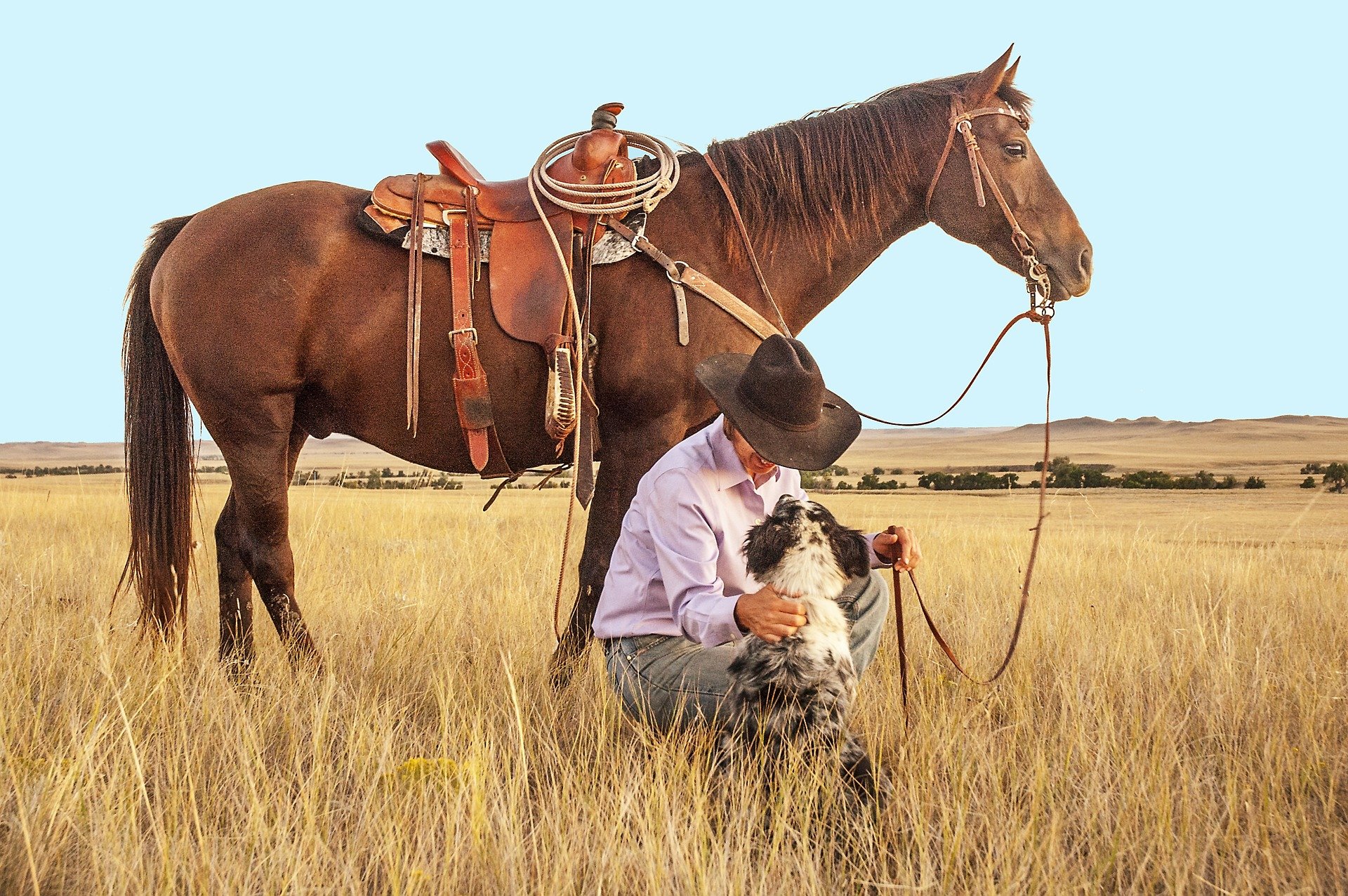 Cowboy with horse and dog | Source: Pixabay 
