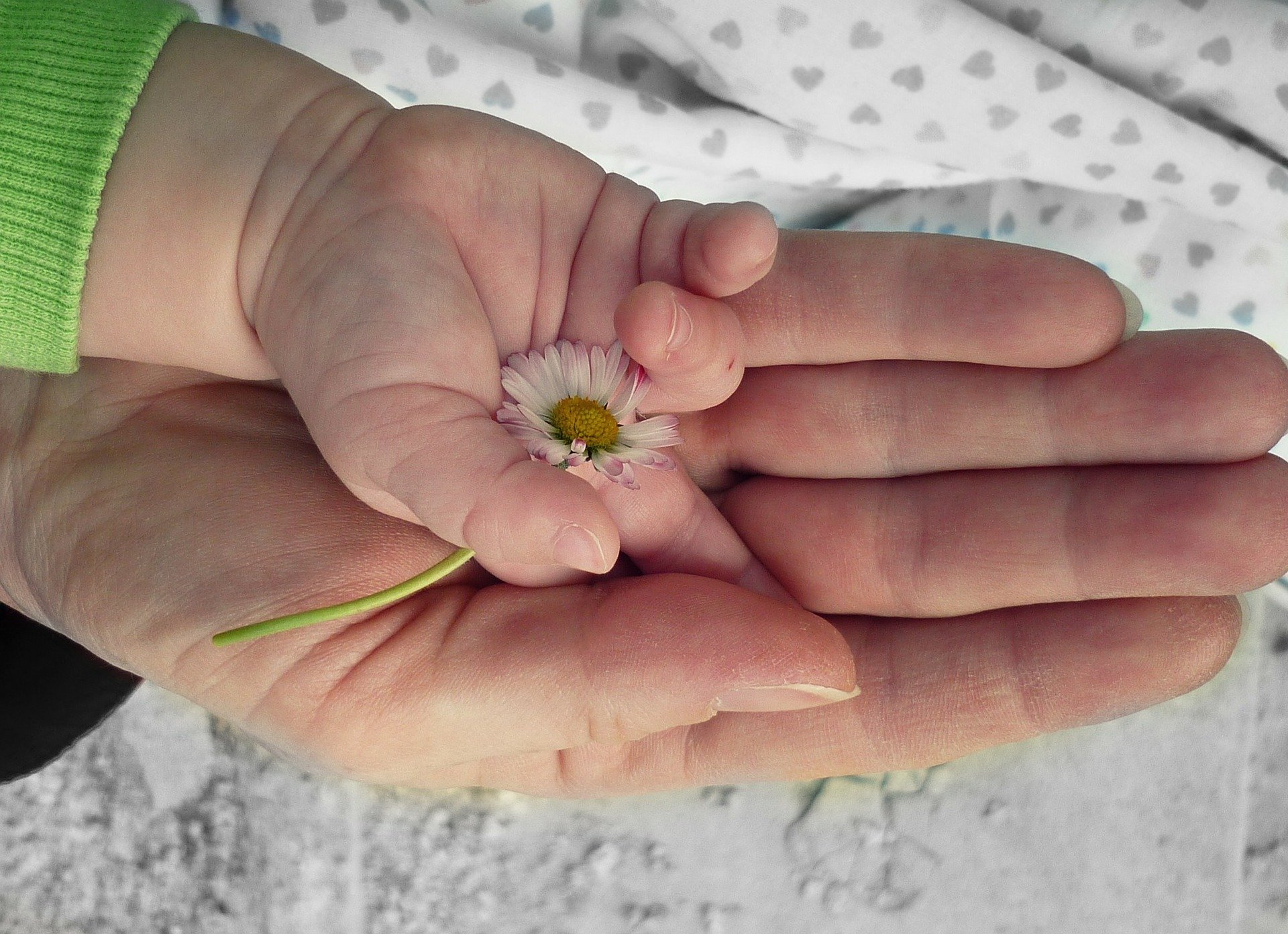 An illustration of a child's hand in that of an adult to depict trust and care. | Source: Pixabay.