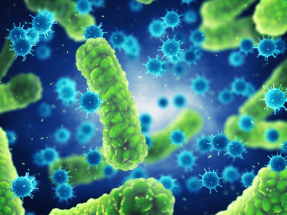 Bactérie | Source : Shutterstock Bactérie | Source : Shutterstock