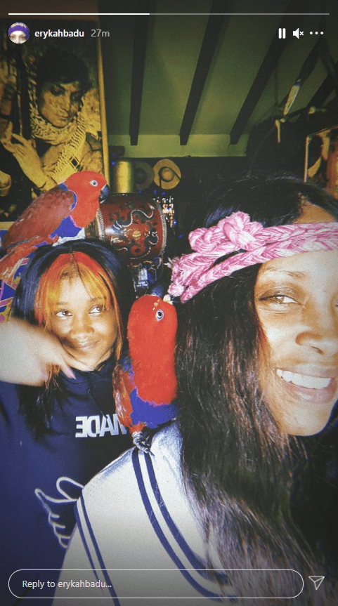 A picture of Erykah Badu and her daughter, Mars Merkaba Thedford as they pose with a parrot on Instagram | Photo: Instagram/erykahbadu
