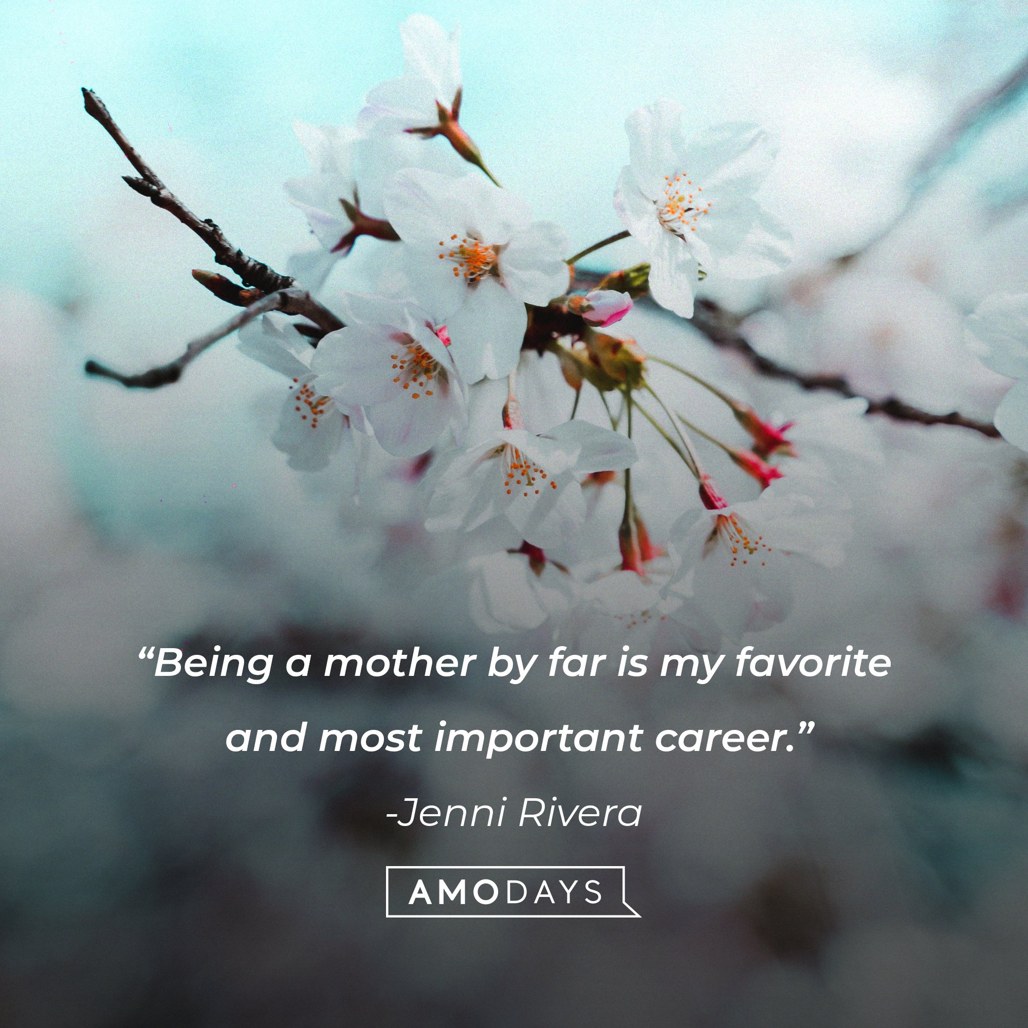 Jenni Rivera’s quote: "Being a mother by far is my favorite and most important career." | Image: AmoDays
