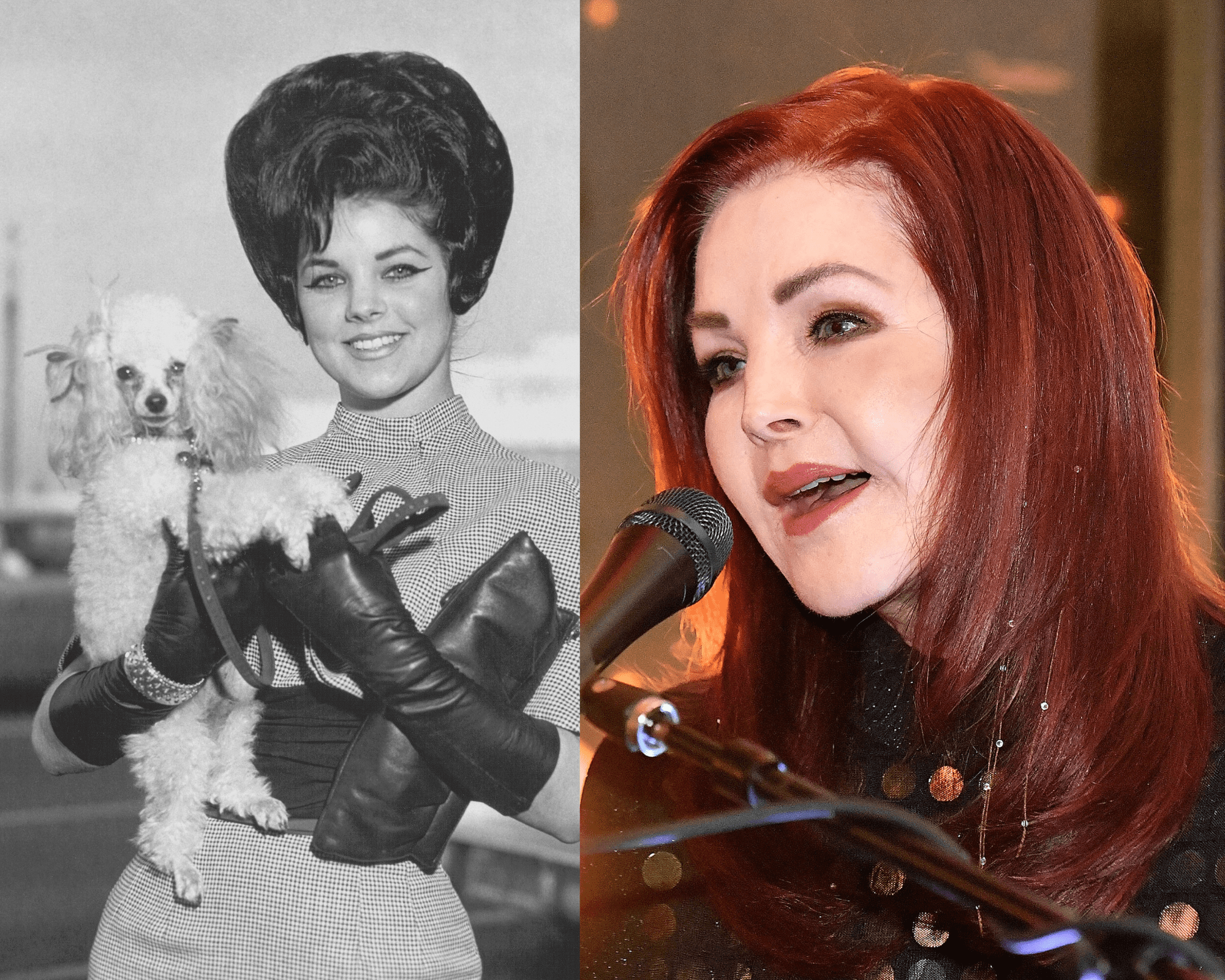 Priscilla Presley with her dog in Memphis, Tennessee on January 11, 1963 | Priscilla Presley on January 05, 2023 in Orlando, Florida | Getty Images 