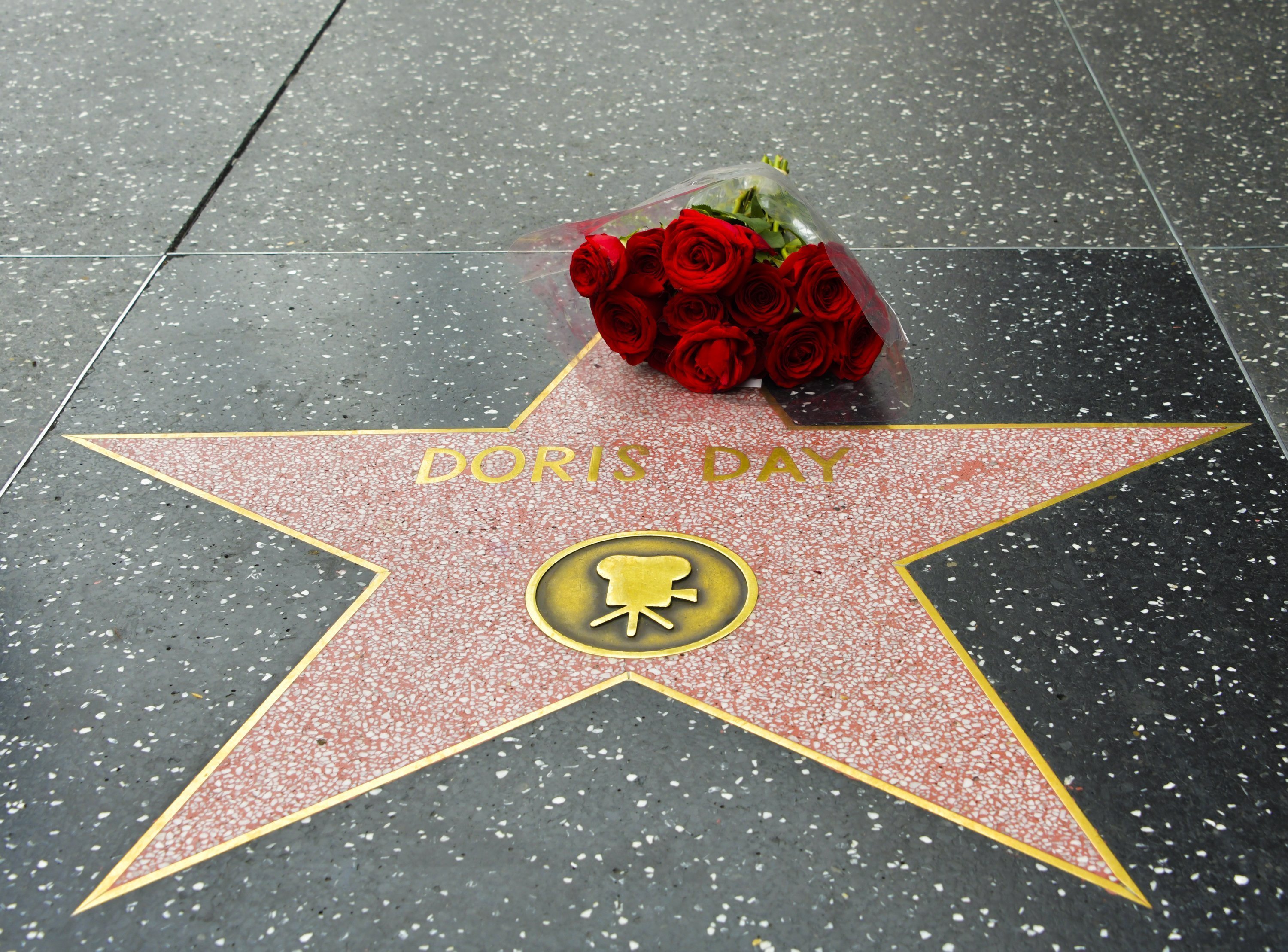 Flowers placed on Doris Day's Star on the Hollywood Walk of Fame following the news of her death | Photo: Getty Images