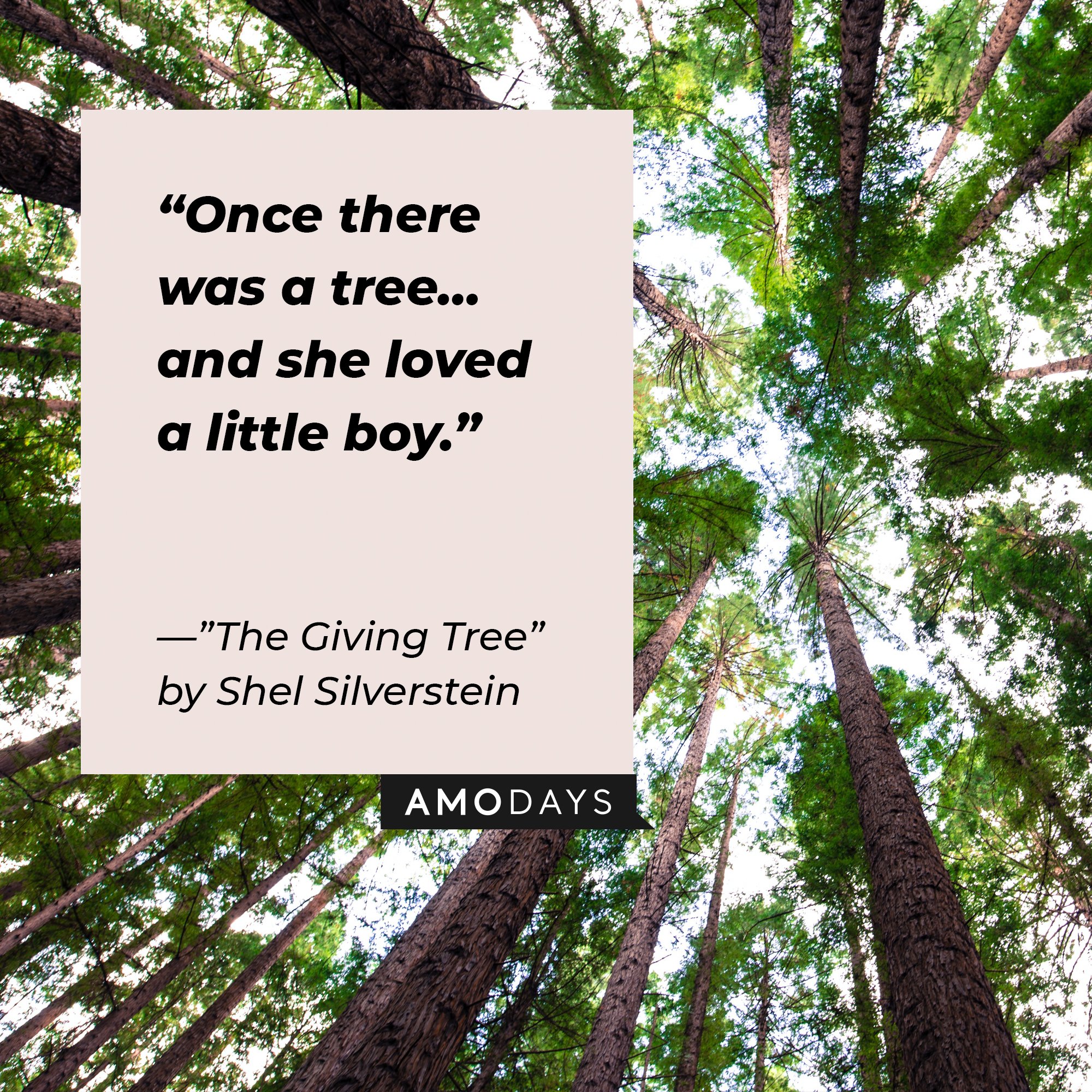 Quotes from Shel Silverstein’s "Giving Tree”: "Once there was a tree…and she loved a little boy." | Image: AmoDays