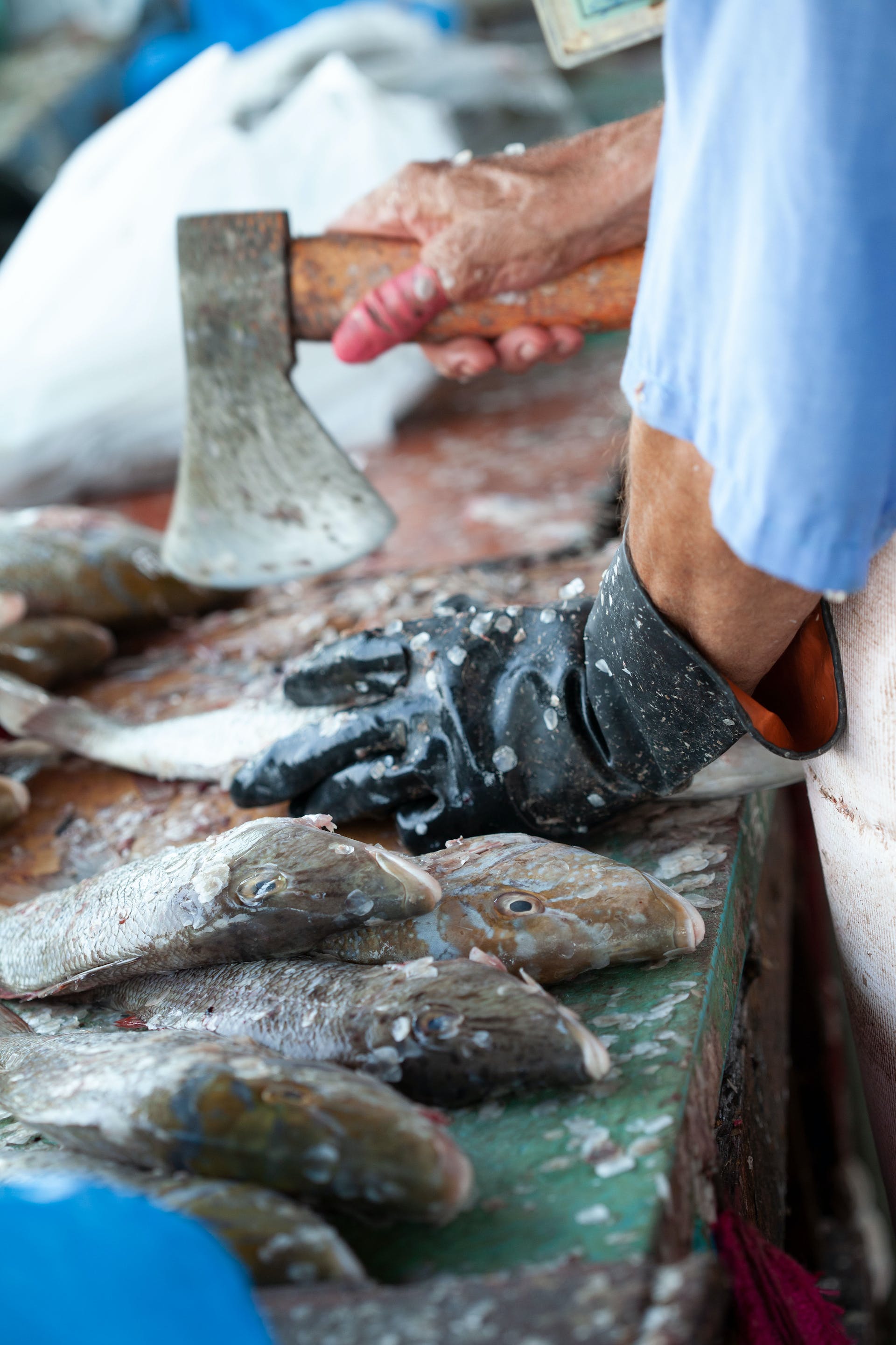 A person chopping fish | Source: Pexels